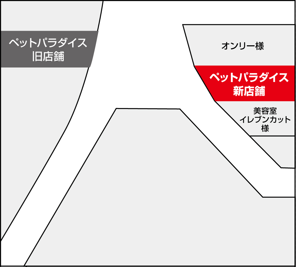 イオン ペット 京都 コレクション 桂川