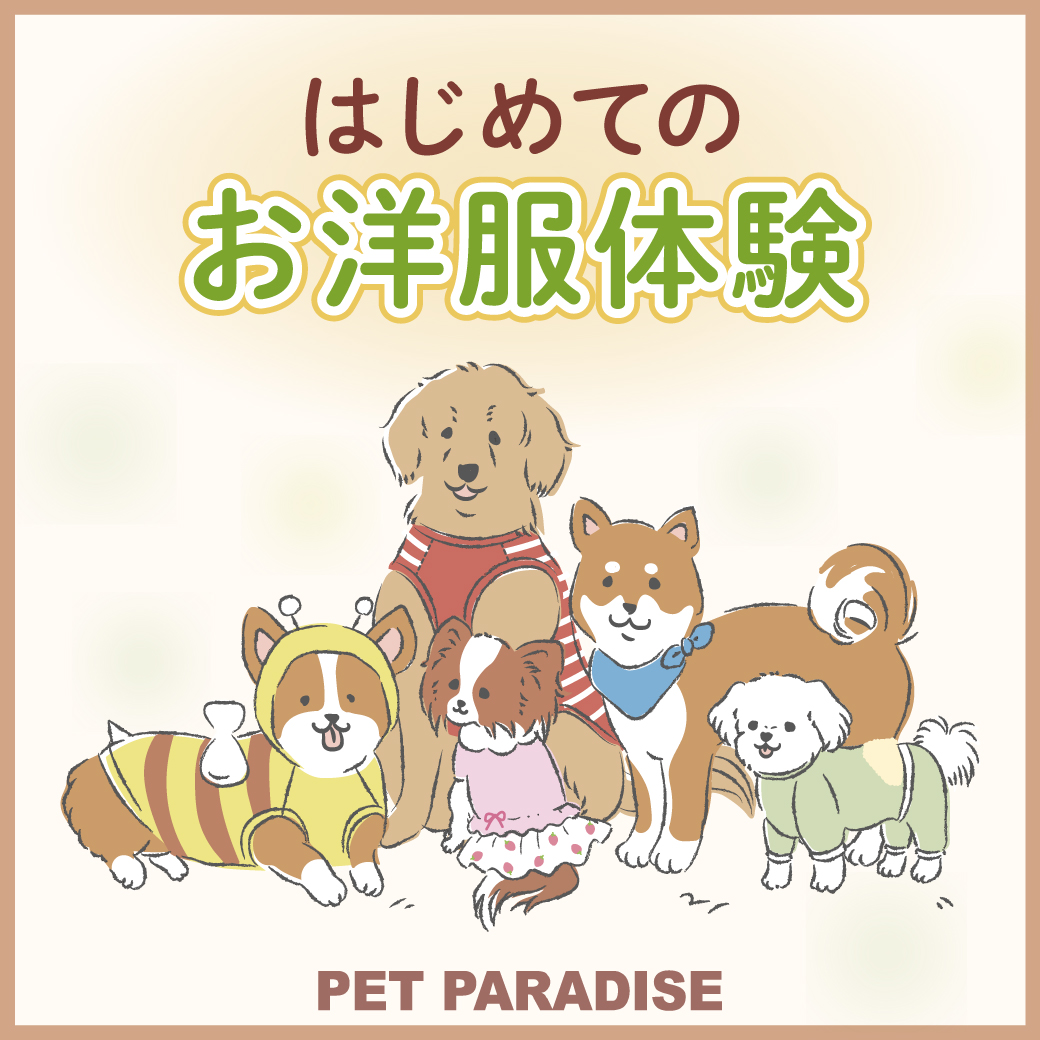 PET PARADISE ペットパラダイス はじめてのお洋服体験
